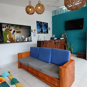 hostel-6-15.allrivieramayahotels.com/