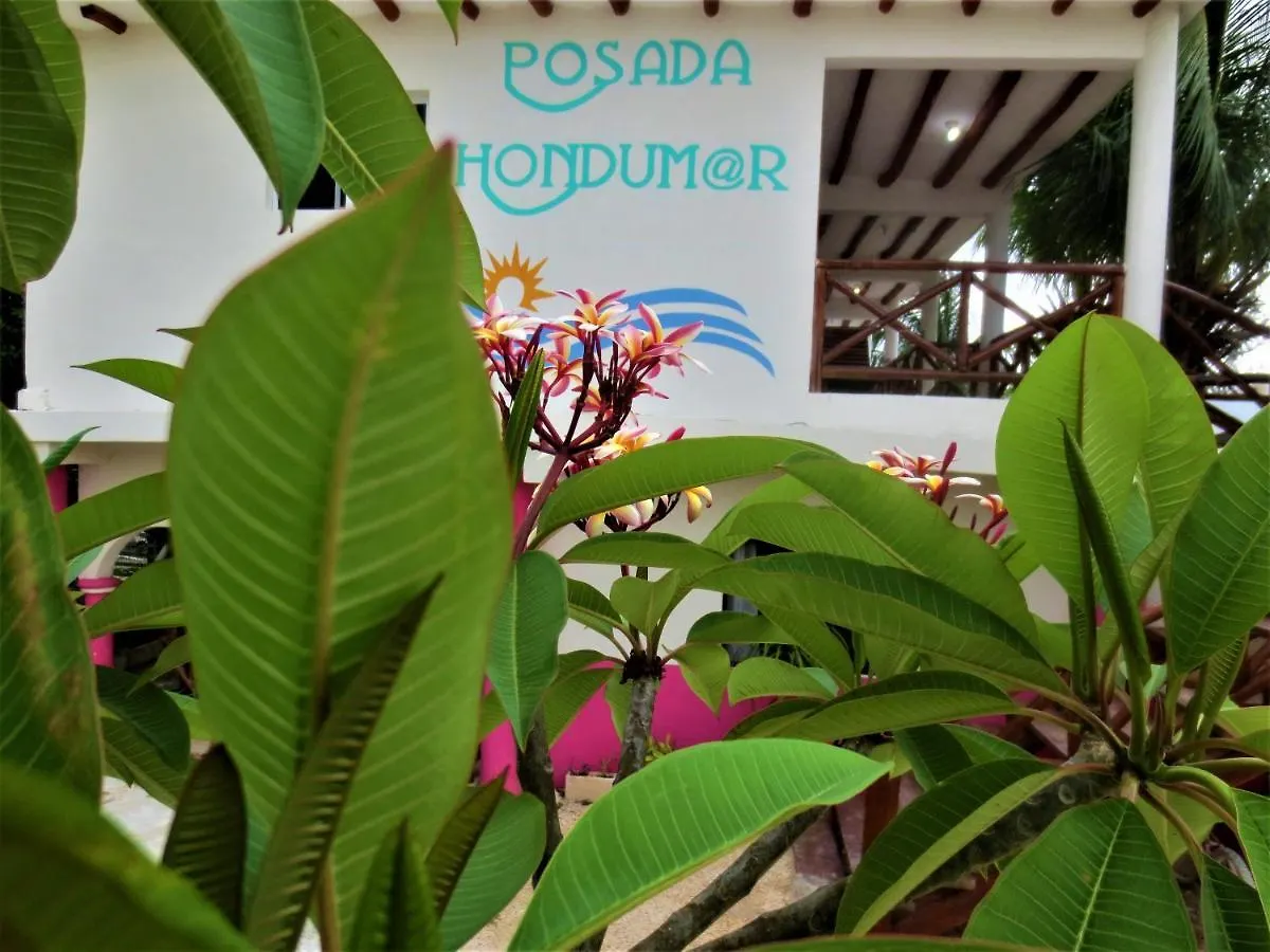 ホテル Posada Hondumar Holbox ホルボックス島