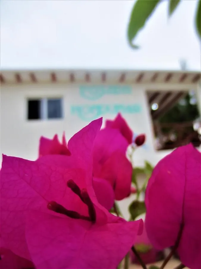 ホテル Posada Hondumar Holbox  ホルボックス島